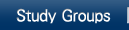 Study Groups